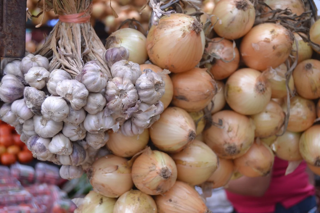 Feria del Agricultor, Plaza Víquez, San José Costa Rica