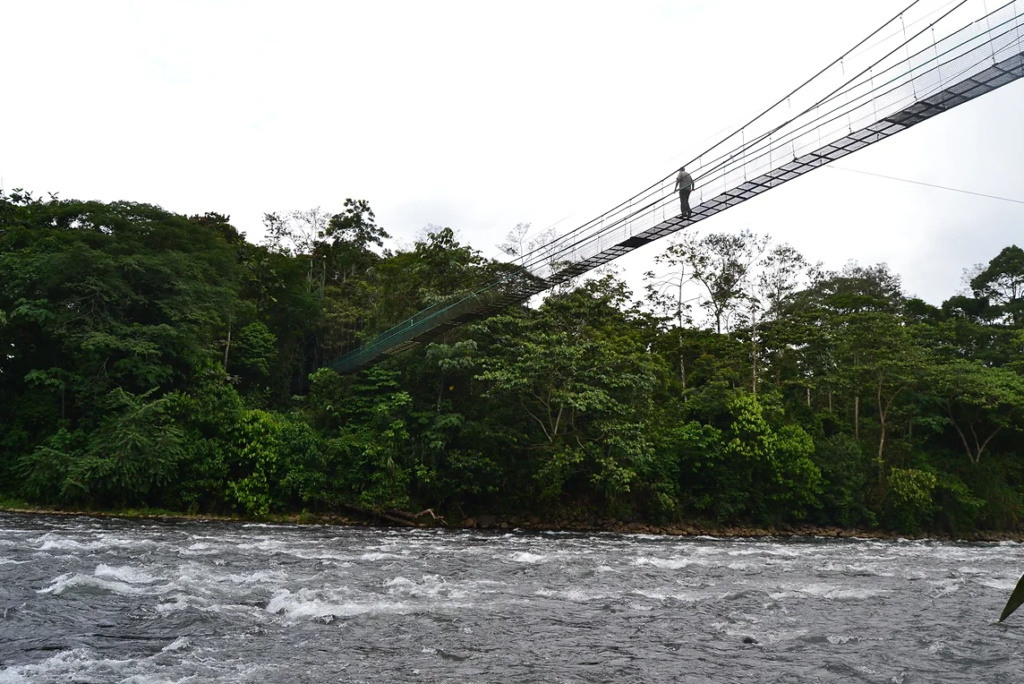 Puente colgante Tirimbina – Biological Reserve & Rainforest Lodge