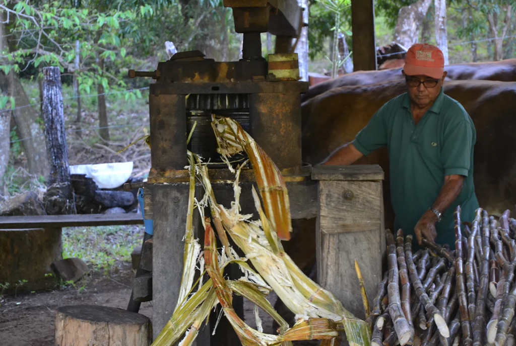 Trapiche Alfaro, Guanacaste